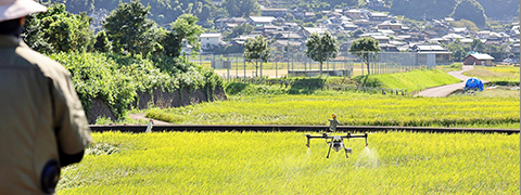 豊富な経験と実績